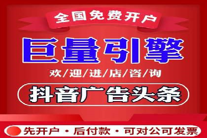 抖音信息流代理在电商行业的应用案例分析